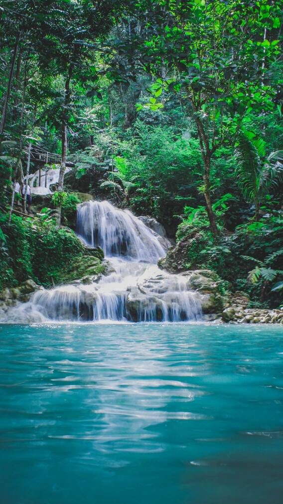 Waterfalls : पावसाळ्यात मुंबईजवळील 'या' धबधब्यांना नक्की भेट द्या...