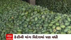 Mango Export : મોટા પ્રમાણમાં થઇ રહી છે કેરીની નિકાસ