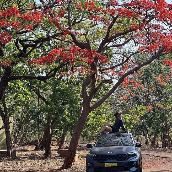 బిగ్ బాస్కు ముందు ఇనాయ సుల్తానా ఎవరో పెద్దగా తెలియదు. కానీ ఆడపులిలా ఆమె బిగ్ బాస్ లో పోరాడింది. దీంతో మంచి గుర్తింపు వచ్చింది.