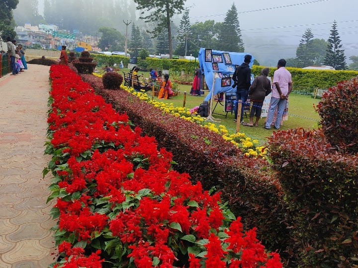 Yercaud Summer Festival and Flower Show started on 21st May TNN Yercaud Flower Show: 8 நாட்கள் நடக்கும் ஏற்காடு கோடை விழா,  மலர் கண்காட்சி - தொடங்கும் தேதி அறிவிப்பு