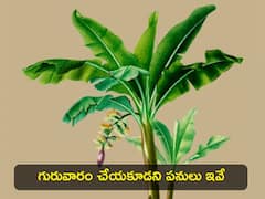 గురువారం అర‌టి చెట్టును పూజిస్తే ఎన్ని ప్ర‌యోజ‌నాలో తెలుసా?