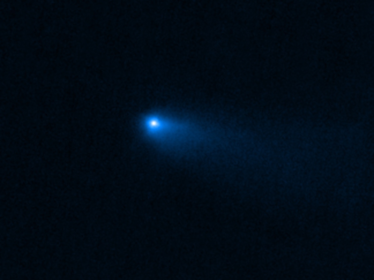 Webb's Near-Infrared Camera (NIRCam) captured an image of Comet Read on September 8, 2022. (Photo: NASA)
