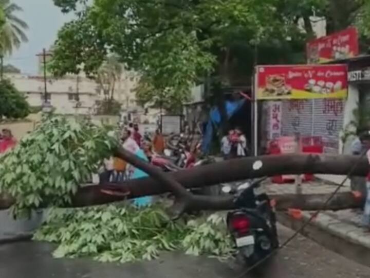 Jamshedpur Weather Update heavy Strom and Rain one People died due to falling tree ANN Jamshedpur Weather: जमशेदपुर में आंधी-पानी ने मचाई भारी तबाही, पेड़ गिरने से एक दुकानदार की मौत