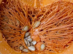 कद्दू के बीजों में छिपे हैं कई जबरदस्त गुण, जानिए इन्हें ब्रेकफास्ट में खाना क्यों जरूरी?