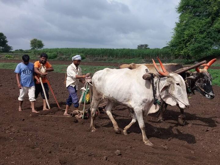 Maharashtra News Pay farmers 10 thousand rupees per acre for sowing  Recommendation of Divisional Commissioner Sunil Kendrakar to Govt पेरणीसाठी शेतकऱ्यांना प्रती एकर 10 हजार रुपये द्या, विभागीय आयुक्त सुनील केंद्रेकरांची सरकारकडे शिफारस
