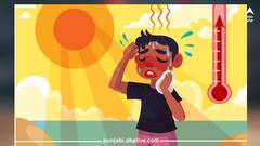 ਗਰਮੀ ਦਾ ਕਹਿਰ! ਲੂ ਲੱਗਣ ਤੇ ਡੀਹਾਈਡ੍ਰੇਸ਼ਨ ਦਾ ਖਤਰਾ, ਇਨ੍ਹਾਂ ਛੇ ਚੀਜ਼ਾਂ ਦਾ ਸੇਵਨ ਬਣੇਗਾ ਸਰੀਰ ਲਈ ਢਾਲ