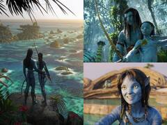 Avatar 2 OTT Release: திரையரங்குகளில் சக்கை போடு போட்ட பின் ஓடிடியில் களமிறங்கும் அவதார் 2!
