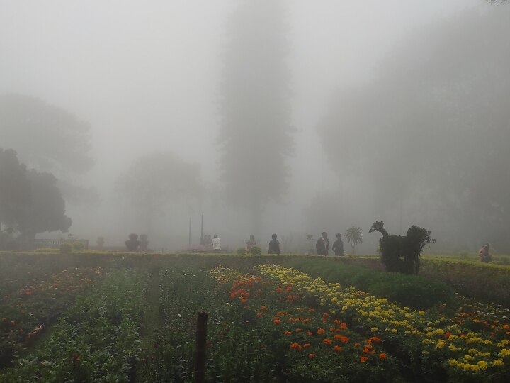 Yercaud Flower Show: 8 நாட்கள் நடக்கும் ஏற்காடு கோடை விழா,  மலர் கண்காட்சி - தொடங்கும் தேதி அறிவிப்பு