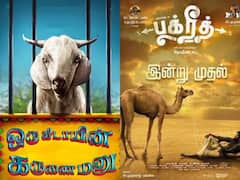 Animal Based Movies : எலி முதல் குதிரை வரை.. மிருகங்களை மையமாக வைத்து எடுக்கப்பட்ட தமிழ் படங்கள்!