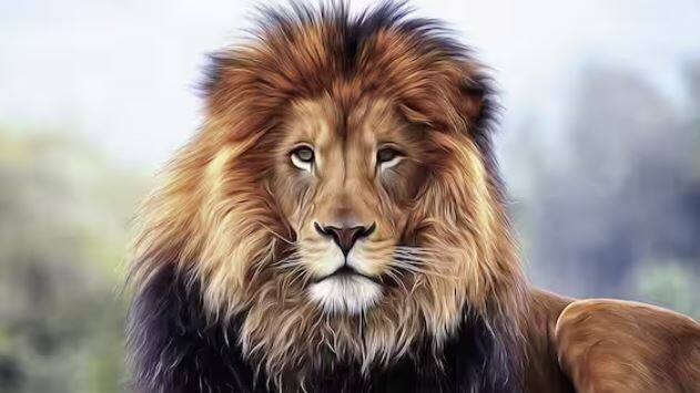 ਸ਼ੇਰ ਆਪਣੇ ਸ਼ਿਕਾਰ ਲਈ ਜਾਣਿਆ ਜਾਂਦਾ ਹੈ ਅਤੇ ਇਹ ਉਸਦੇ ਤਿੱਖੇ ਦੰਦਾਂ ਕਾਰਨ ਸੰਭਵ ਹੈ। ਸ਼ੇਰ ਦੇ ਕੁੱਲ 30 ਦੰਦ ਹੁੰਦੇ ਹਨ, ਜਿਸ ਵਿੱਚ 4 ਦੰਦ ਨੋਕਦਾਰ ਹੁੰਦੇ ਹਨ।