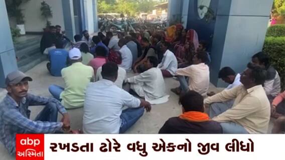 Kutch News : કચ્છના ગાંધીધામમાં રખડતા ઢોરે લીધો વૃદ્ધનો જીવ