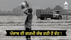 Punjab Weather: ਪੰਜਾਬ ਦੀ ਗਰਮੀ ਕੱਢ ਰਹੀ ਹੈ ਵੱਟ ! ਦੁਪਿਹਰ ਤੋਂ ਬਾਅਦ ਪੈ ਸਕਦਾ ਮੀਂਹ