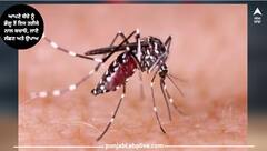 National Dengue Day 2023 : ਆਪਣੇ ਬੱਚੇ ਨੂੰ ਡੇਂਗੂ ਤੋਂ ਇਸ ਤਰੀਕੇ ਨਾਲ ਬਚਾਓ, ਜਾਣੋ ਲੱਛਣ ਅਤੇ ਉਪਾਅ