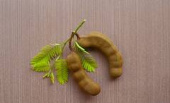 Tamarind Benefits: দেখতে সাধারণ, কিন্তু গুণাগুণে অসাধারণ তেঁতুল