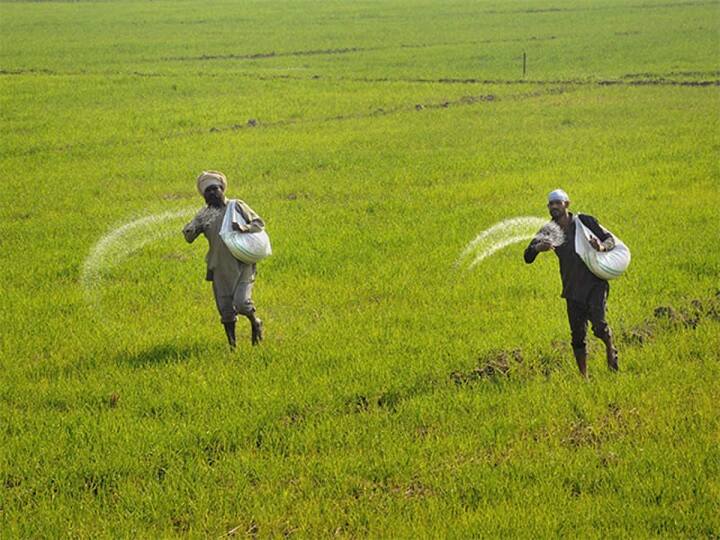 Fertilizer Subsidy: Relief to farmers before Diwali, Central Government's big decision on fertilizer; Know how much subsidy is given on which fertilizer દિવાળી પહેલા ખેડૂતોને મોટી રાહત, કેન્દ્ર સરકારે ખાતર અંગે કર્યો મોટો નિર્ણય, જાણો કેટલી સબસિડી આપવામાં આવશે