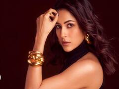 Shehnaaz Gill ने बॉलीवुड को लेकर कही ये बात, 'किसी का भाई किसी की जान' एक्ट्रेस बोलीं- फिल्म इंडस्ट्री हर किसी के लिए नहीं!