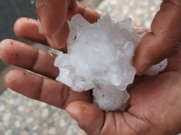 Jharkhand weather in Dumka with Railfall and hailstorm first snow in summer season farmers crop destroy ANN Dumka: दुमका जिले में बारिश के बाद लोगों को गर्मी से मिली राहत, ओले भी पड़े