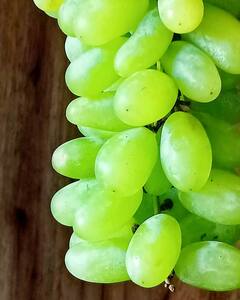 Summer Fruits Benefits: गर्मियों के ये 10 फल जो सेहत को देते हैं बेहिसाब फायदे