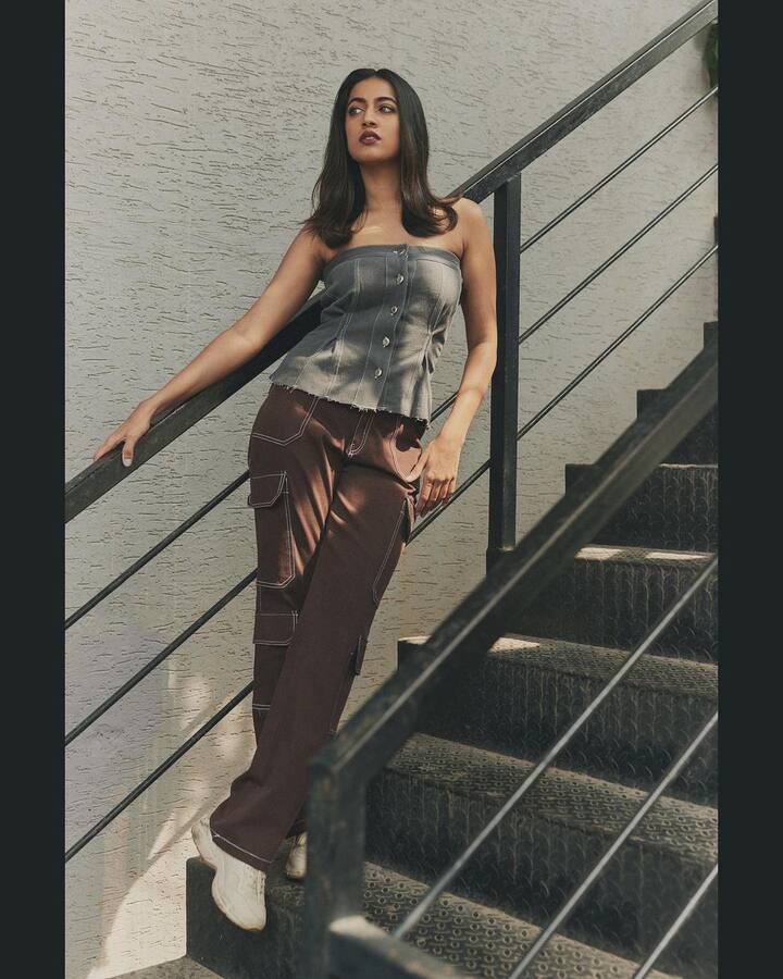 నిహారిక ఇప్పుడు తన పూర్తి దృష్టి కెరీర్ పైనే పెట్టింది. వెబ్ సిరీస్ లను నిర్మించేందుకు సిద్ధపడింది.