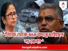 'ঠেলায় পড়লে বিড়ালও গাছে ওঠে' মুখ্যমন্ত্রীর NIA-তদন্ত নিয়ে আপত্তি না থাকা প্রসঙ্গে দিলীপ