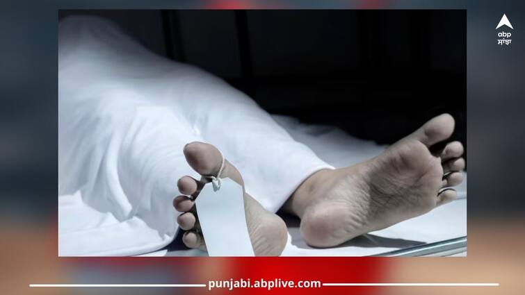 Punjab news: Drug takes another life, 3 youths of the same village died of overdose in a week Punjab News: ਨਸ਼ੇ ਨੇ ਬੁਝਾਇਆ ਇੱਕ ਹੋਰ ਘਰ ਦਾ ਚਿਰਾਗ, ਓਵਰਡੋਜ਼ ਨਾਲ ਹਫ਼ਤੇ ’ਚ ਇਕੋ ਪਿੰਡ ਦੇ 3 ਨੌਜਵਾਨਾਂ ਨੇ ਤੋੜਿਆ ਦਮ