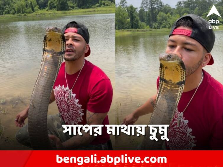 Viral Video Man Kisses A 12-Feet Cobra Will Give You Goosebumps Viral Video: ফণা তুলে ফুঁসছে কেউটে, সেই সাপের মাথাতেই চুমু খেলেন যুবক!