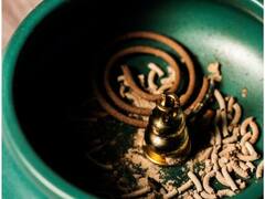 मच्छर मारने वाली कॉइल का धुआं सिगरेट से भी ज्यादा खतरनाक! फिर इन गंभीर बीमारियों का बनता है कारण