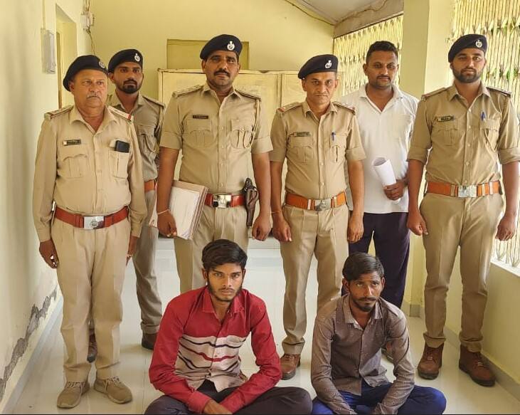 Two youths arrested for harassing lion in Gir somnath Gir Somnath: ગીરમાં સિંહની પજવણી કરનાર બે યુવકોની ધરપકડ, પરંતુ ભાજપ નેતા સામે કાર્યવાહી ન થતા લોકોએ ઉઠાવ્યા સવાલો