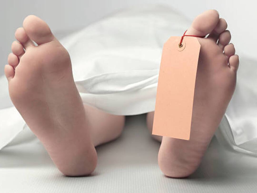 5 Dead, 7 Injured As Speeding Lorry Rams Into Auto-Rickshaw In Andhra Pradesh's Palnadu 5 Dead, 7 Injured After Speeding Lorry Rams Into Auto-Rickshaw In Andhra Pradesh's Palnadu 5 Dead, 7 Injured As Speeding Lorry Rams Into Auto-Rickshaw In Andhra Pradesh's Palnadu