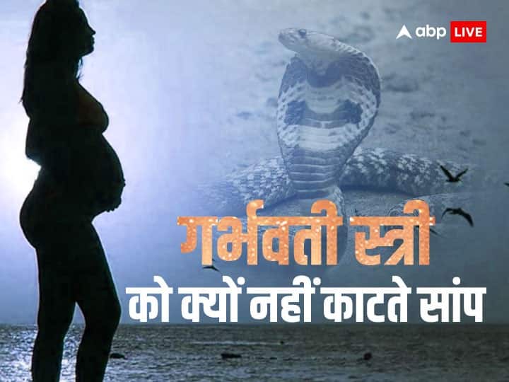 myths Why snakes do not bite pregnant women secret is hidden in story
