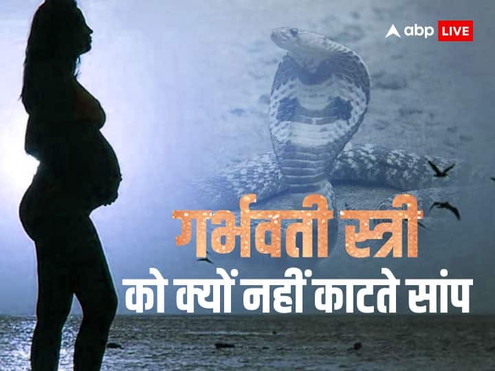 After all, why snakes do not bite pregnant women, the secret is hidden in the story of Brahmavaivarta Purana
