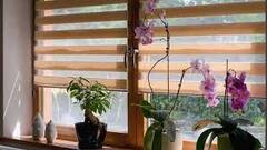 ਆਖਰ ਲੱਭ ਹੀ ਲਿਆ ਬਗੈਰ ਏਸੀ ਇਮਾਰਤਾਂ ਨੂੰ ਠੰਢਾ ਕਰਨ ਦਾ ਜੁਗਾੜ, ਨਹੀਂ ਹੋਏਗੀ ਖਤਰਨਾਕ ਗੈਸਾਂ ਦੀ ਨਿਕਾਸੀ, 80 ਫੀਸਦੀ ਬਿਜਲੀ ਦੀ ਬੱਚਤ