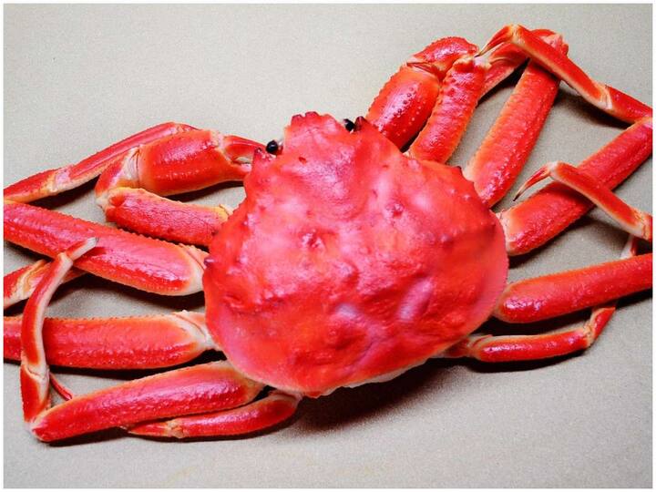 We eat crabs now but they used to be used as fertilizer for farms, do you know why? పీతలు ఇప్పుడు తింటున్నాం కానీ ఒకప్పుడు పొలాలకు ఎరువుగా వాడేవారు,  ఎందుకో తెలుసా?