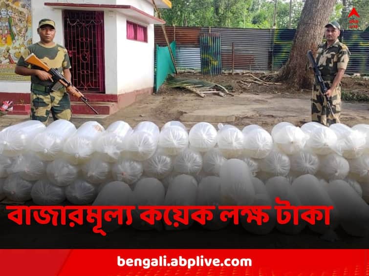 Uttar 24 Parganas Ranaghat BSF seizes fish eggs worth RS 8 Lakh which was being smuggled to Bangladesh Allegedly Ranaghat News: পাচার হচ্ছিল বাংলাদেশে, সীমান্তে উদ্ধার প্রচুর পরিমাণ মাছের ডিম, বাজারমূল্য কয়েক লক্ষ টাকা