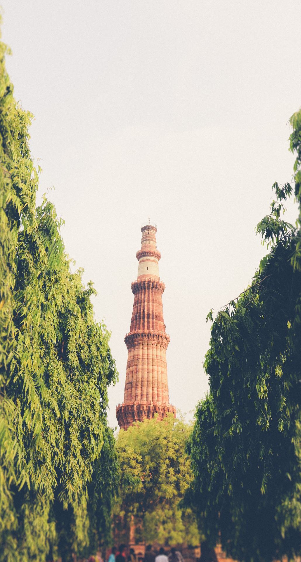 इसकी ऊंचाई