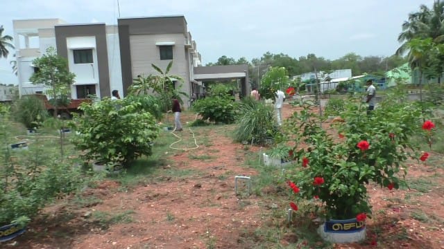 Dharmapuri: வட்டாட்சியர் அலுவலகத்தை சுற்றுலா தலமாக மாற்றி வரும் ஊழியர்கள் - எங்கு தெரியுமா..?