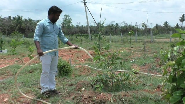 Dharmapuri: வட்டாட்சியர் அலுவலகத்தை சுற்றுலா தலமாக மாற்றி வரும் ஊழியர்கள் - எங்கு தெரியுமா..?