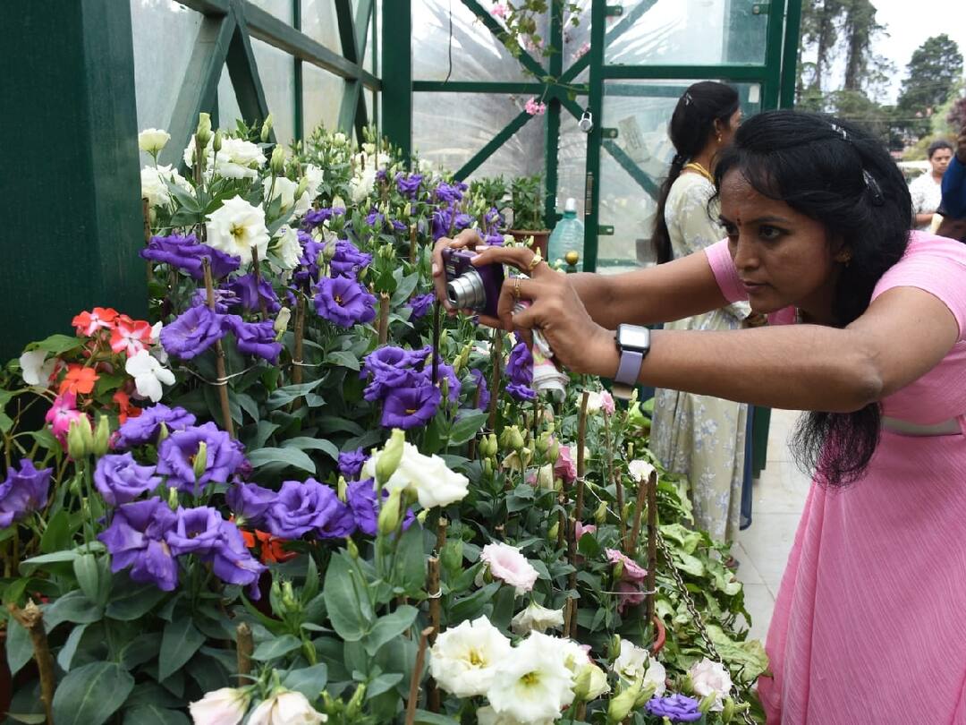 Holiday: உதகை மலர் கண்காட்சி - நீலகிரி மாவட்டத்திற்கு நாளை விடுமுறை அறிவிப்பு local holiday has been announced for Nilgiri district tomorrow as ooty Flower Show starts tomorrow TNN Holiday: உதகை மலர் கண்காட்சி - நீலகிரி மாவட்டத்திற்கு நாளை விடுமுறை அறிவிப்பு