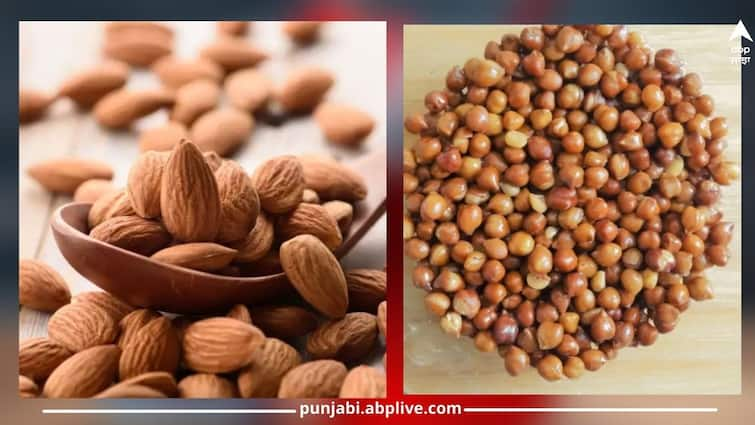 Health Tips: try Black Chickpeas worth 100 rupees a kilo, know the benefits Health Tips: ਜੇ ਨਹੀਂ ਖਾ ਸਕਦੇ 1000 ਰੁਪਏ ਕਿੱਲੋ ਵਾਲੇ ਬਦਾਮ ਤਾਂ ਅਜਮਾਓ 100 ਰੁਪਏ ਕਿੱਲੋ ਵਾਲੇ ਛੋਲੇ, ਫਾਇਦੇ ਜਾਣ ਕੇ ਹੋ ਜਾਓਗੇ ਹੈਰਾਨ