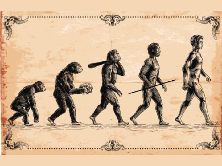 Humans Originate Africa Evolve Neanderthals Stem1 Stem2 New Study Unravels Secrets Rejects Old Theory Did Humans Originate From A Single Place In Africa? Study Rejects Old Theory, Presents New Timeline