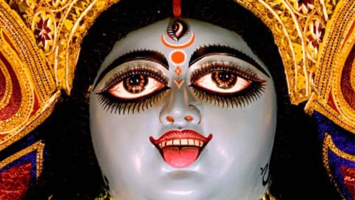 আজ ফলহারিণী কালী পুজো (Phalaharini Kali Puja)। জ্যৈষ্ঠ মাসের অমাবস্যা (Amavasya) তিথিতে এই পুজো করা হয়। ‘ফলহারিণী’ নামেই প্রকাশ যিনি ফল হরণ করেন।