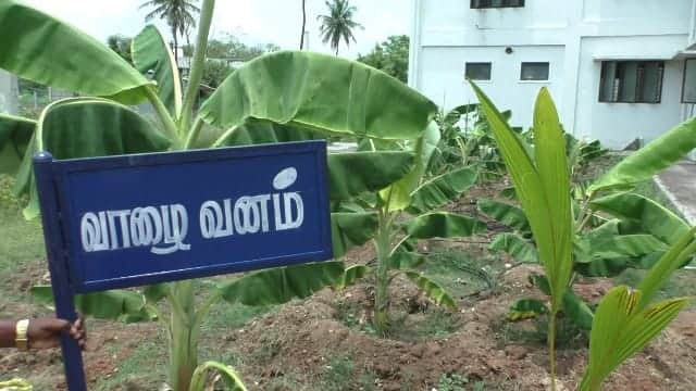 Dharmapuri revenue department employees turning office into a tourist spot by setting up a library, children's park at the Karimangalam tahsildar office TNN Dharmapuri: வட்டாட்சியர் அலுவலகத்தை சுற்றுலா தலமாக மாற்றி வரும் ஊழியர்கள் - எங்கு தெரியுமா..?