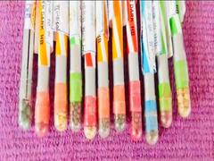 छत्तीसगढ़: महिलाओं ने बनाई बीज वाली ईको फ्रेंडली पेंसिल, इस्तेमाल के बाद फेंकने पर उग जाएंगे पौधे