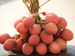 Litchi Health Risk: ज्यादा लीची खाना भी सेहत के लिए हानिकारक, शरीर में लग सकते हैं ये 'गंभीर रोग'