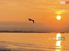 తెలంగాణలో రెండు వారాలు నిప్పులు చెరగనున్న సూరి మామ - 40 డిగ్రీలపైనే ఉష్ణోగ్రతలు