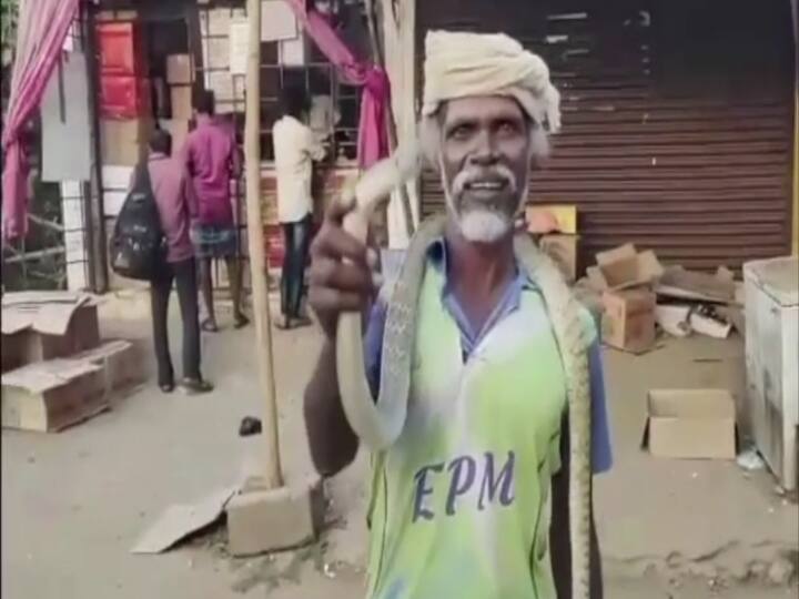 chengalpattu Atrocity with the snake videos goes viral on social media TNN chengalpattu: ‘என்ன சரக்கு சாப்ட்டாருன்னு தெரியல’.... பாம்பை மடக்கி லுங்கியில் போட்டுகின்னு போறாரு