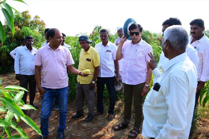 बारामती कृषी विज्ञान केंद्रातही गेली 5-6 वर्ष विविध पिकांसाठी होमिओपॅथी वापराचं प्रात्यक्षिक घेतलं जात आहे. त्यांच्या सल्ल्याचाही घाडगेंना फायदा झाला.