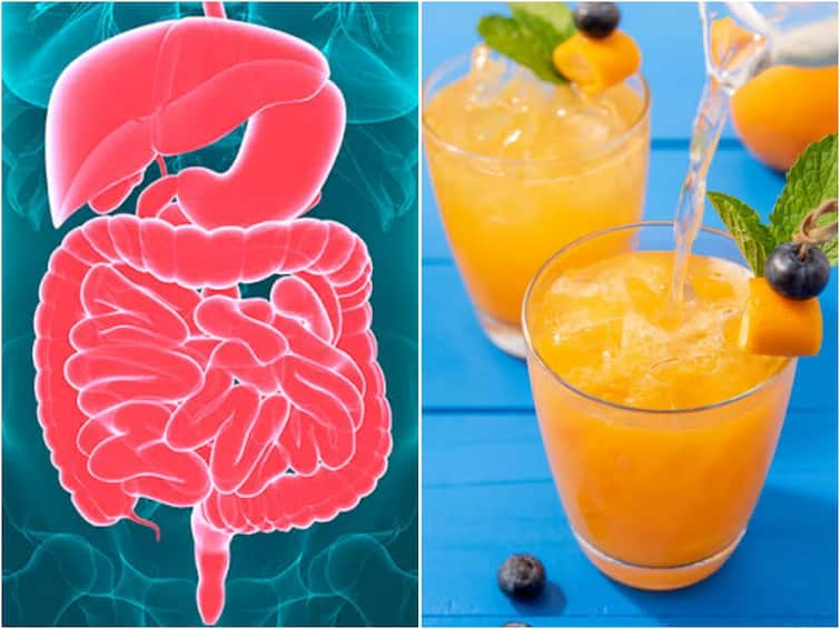 Enjoying cool drinks for summer That Affect Gut to Fix that here are the 5 Foods Health: கோடையில் குடலை ஆரோக்கியமாக வைத்திருக்க வேண்டுமா..? அப்போ இந்த 5 உணவுகளை சாப்பிடுங்க..!