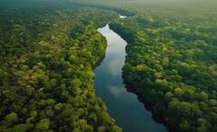 Amazon Rainforest: বিমান ভেঙে পড়েও রক্ষা, আমাজনের গহীন অরণ্যে তিন সপ্তাহ, বেঁচে ফিরল দুধের শিশু-সহ চার খুদে