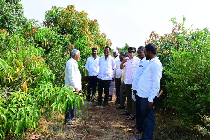 यावर त्यांनी कर्नाटकातील डॉ. वीरेंद्रकुमार पाटील यांच्याकडे होमिओपॅथी उपचार घेतले.